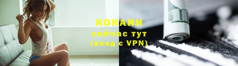 COCAIN Fish Scale  Нерехта 